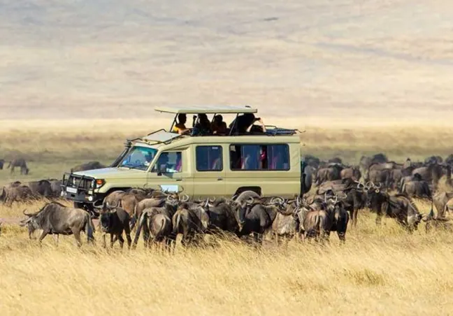 Cross the border for the endless Serengeti plains.