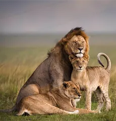 Featured safari destination
