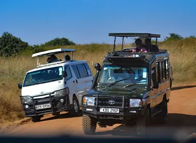 Shada Safaris Instagram photo