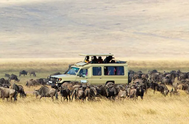 Maasai Mara