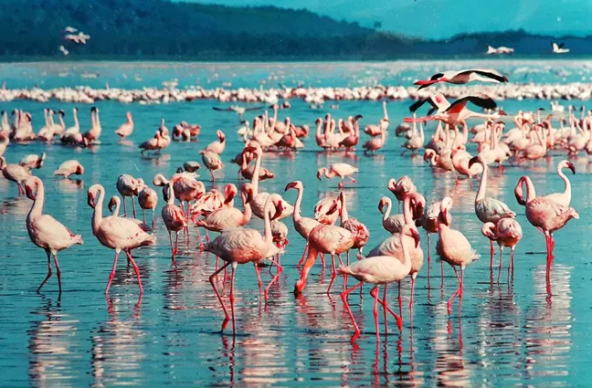 Diani Beach