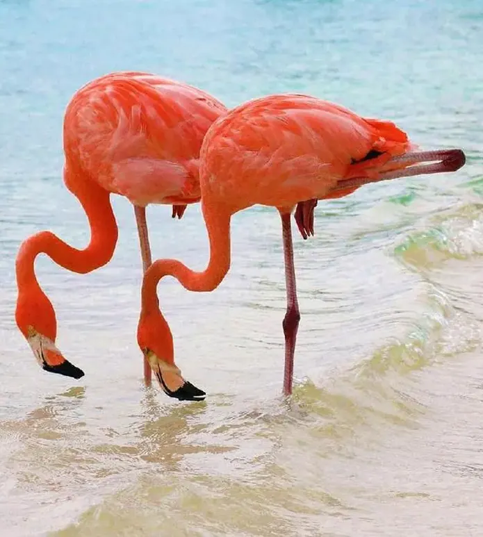 Lake Nakuru 3
